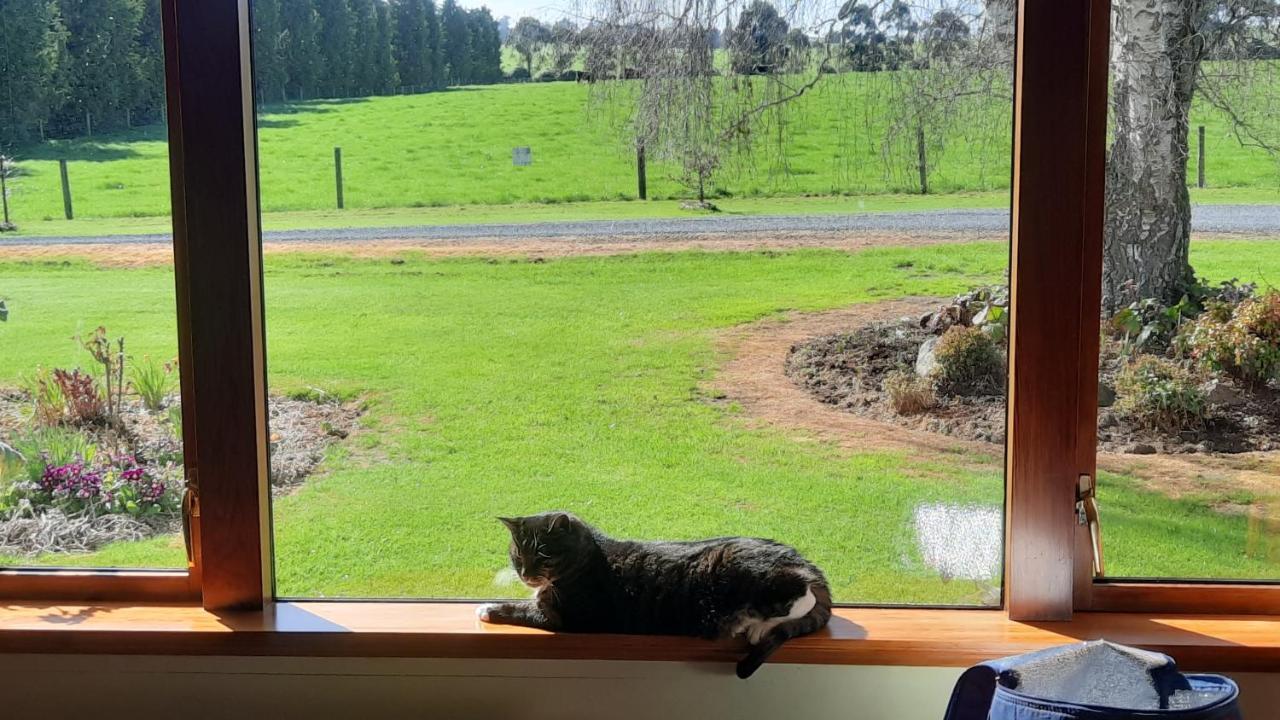 Greenfield Country Homestay Pukeawa ภายนอก รูปภาพ